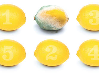 Lemons-crop2